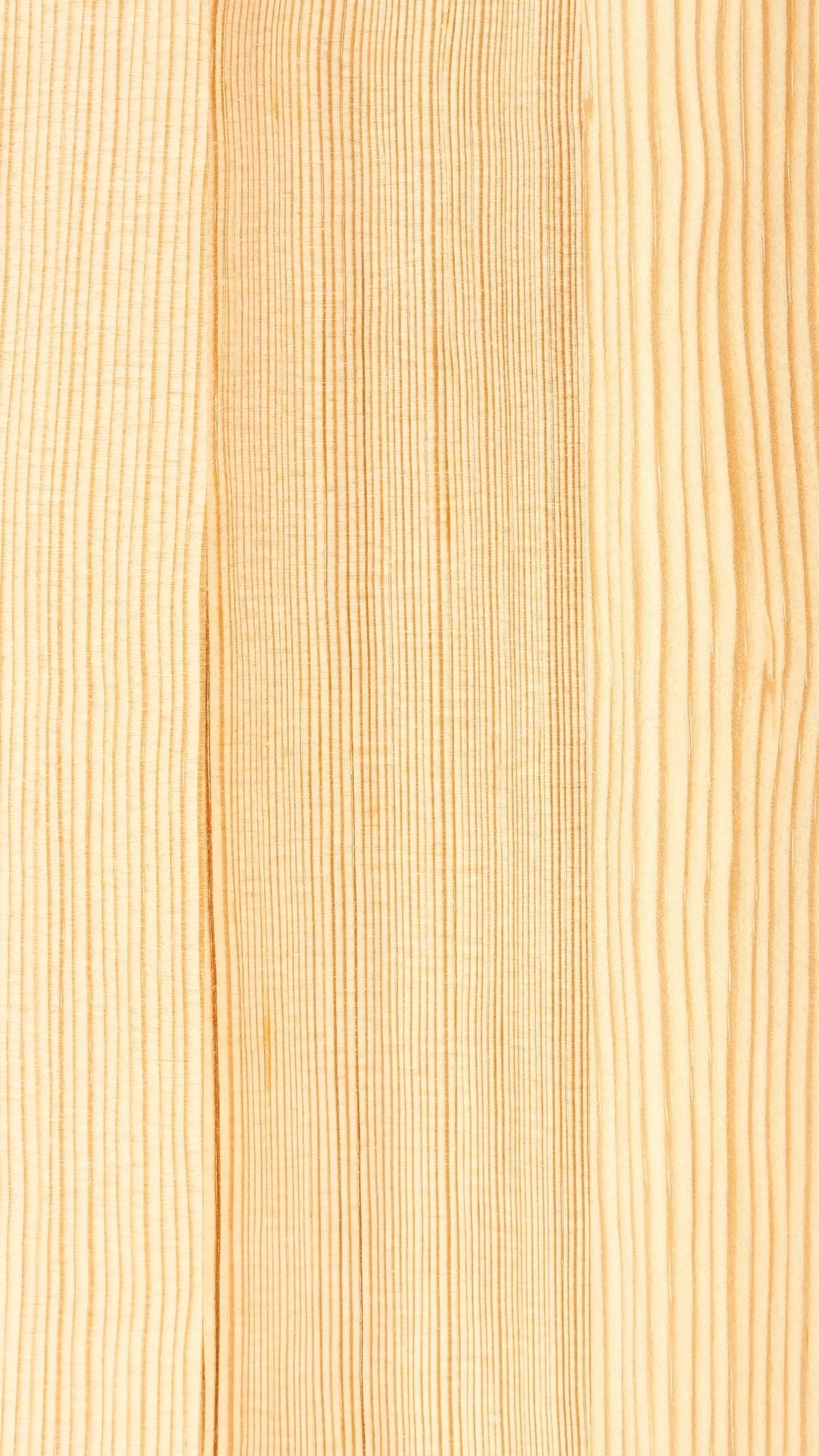 Pine